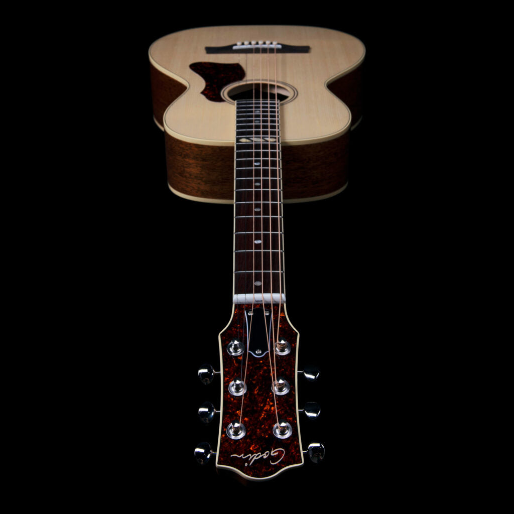 Godin Rialto Natural RN GT EQ