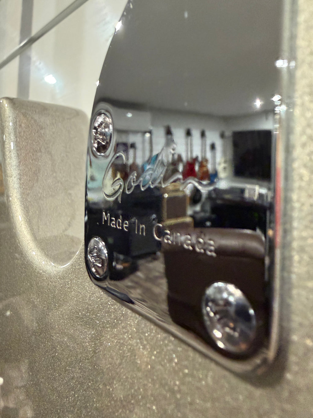 Godin Guitars
Stadium Pro LTD Electric Guitar Silver Gray Limited Edition