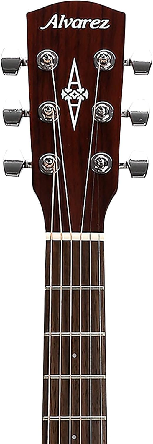 Alvarez RF26SSB-AGP, Folk/OM Guitar Starter Kit (Includes Gig Bag, Tuner, Cloth, Strap and Picks) - Sunburst - Regent Series