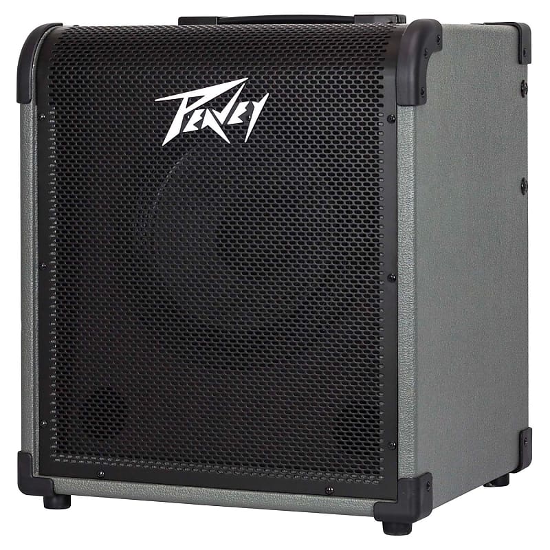 Peavey MAX® 100 100-WATT BASS AMP COMBO