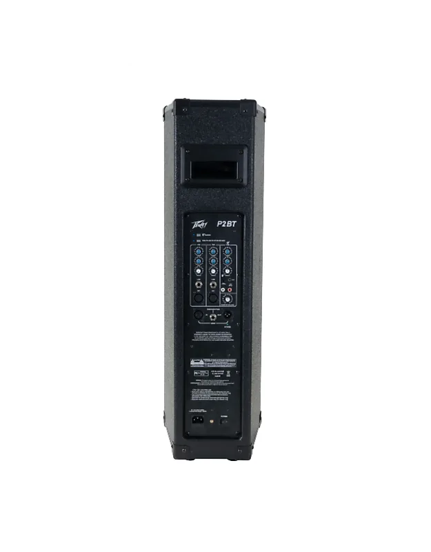 Peavey P2 | Bluetooth All-in-One Portable PA System