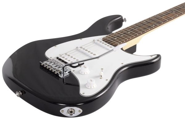 Peavey Raptor Plus