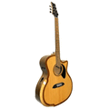 Riversong Guitars P2P-GA Grand Auditorium