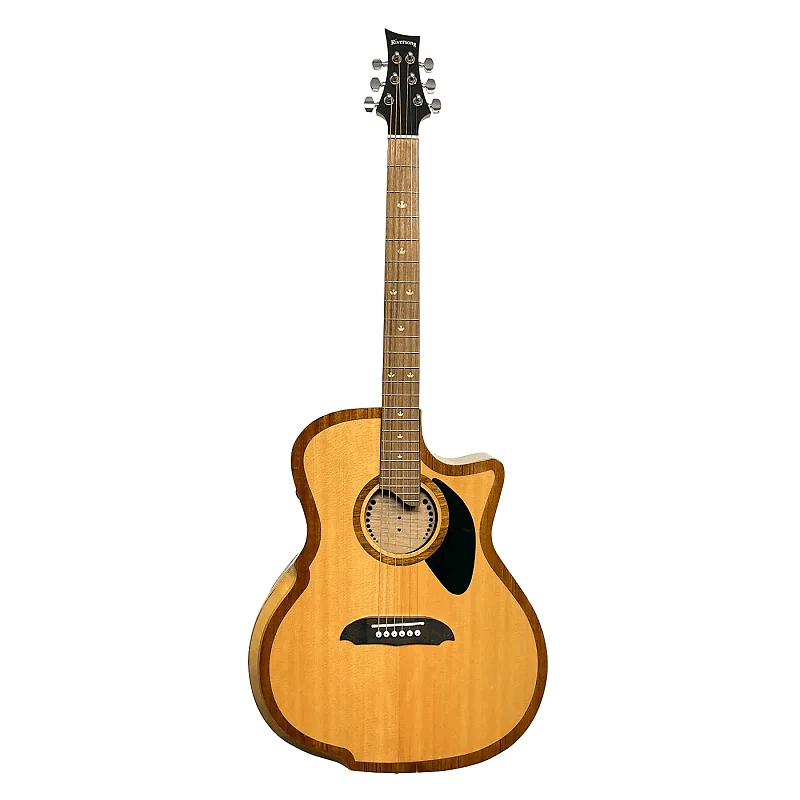 Riversong Guitars P2P-GA Grand Auditorium