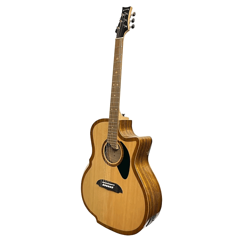 Riversong Guitars P2P-GA Grand Auditorium