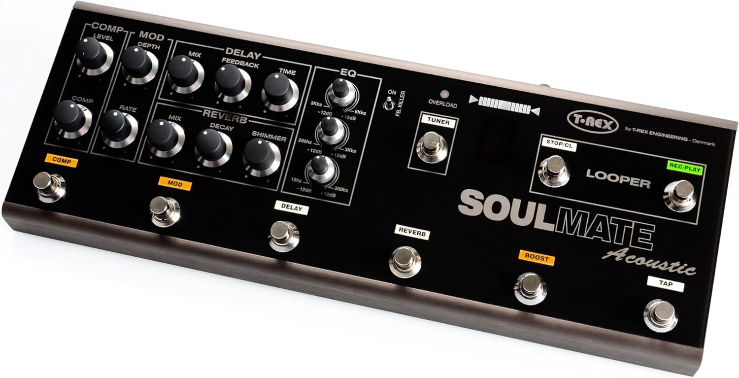 T-Rex Soulmate Acoustic Effect Board