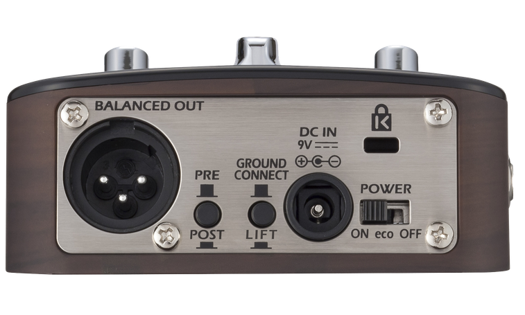 Zoom AC-2 Your Acoustic Sound—Amplified.