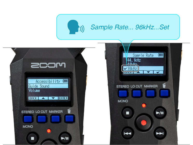 Zoom H1e