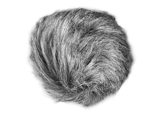 Zoom WSU-1 Hairy Windscreen