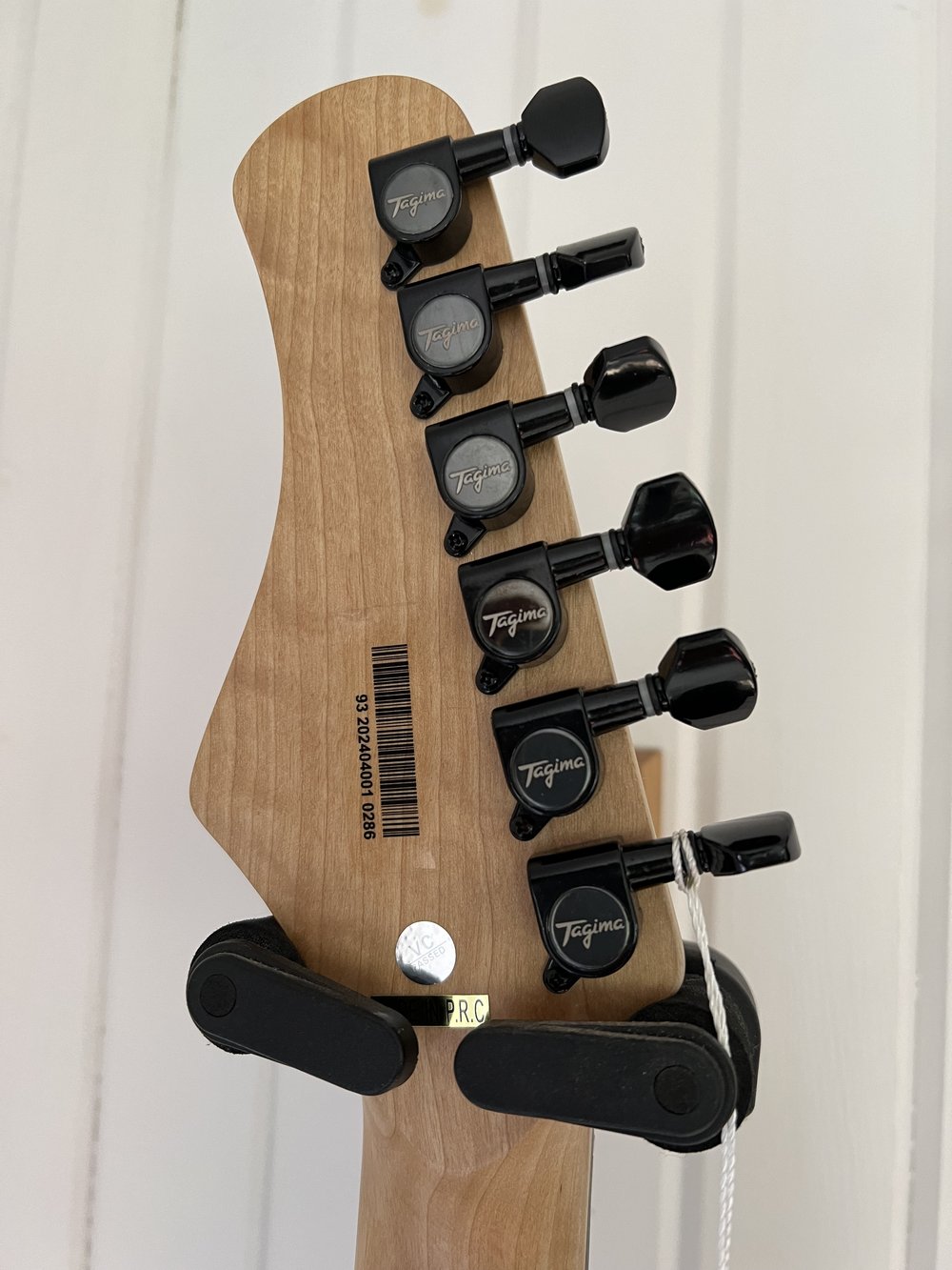 Tagima TW60
