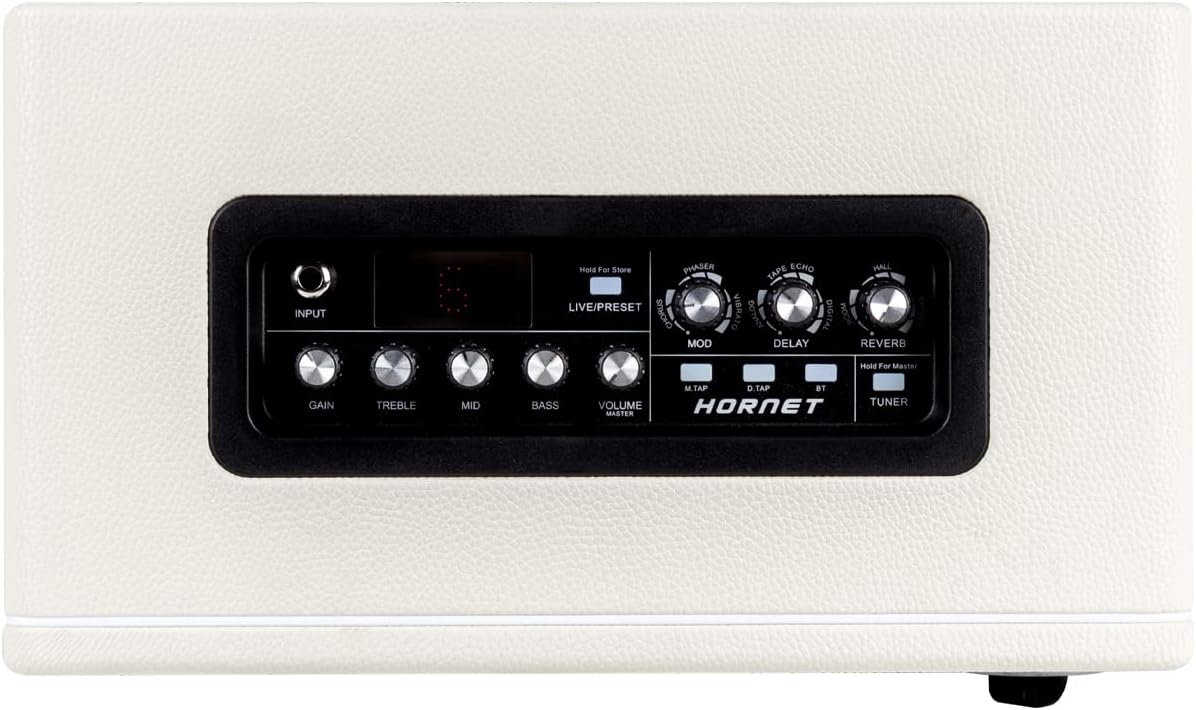 Mooer Hornet 30-Watt Combo Amplifier