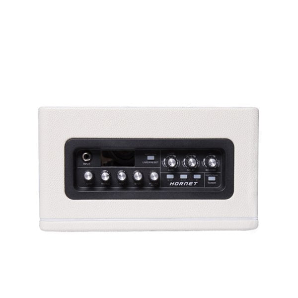 Mooer Hornet 15 watts Combo