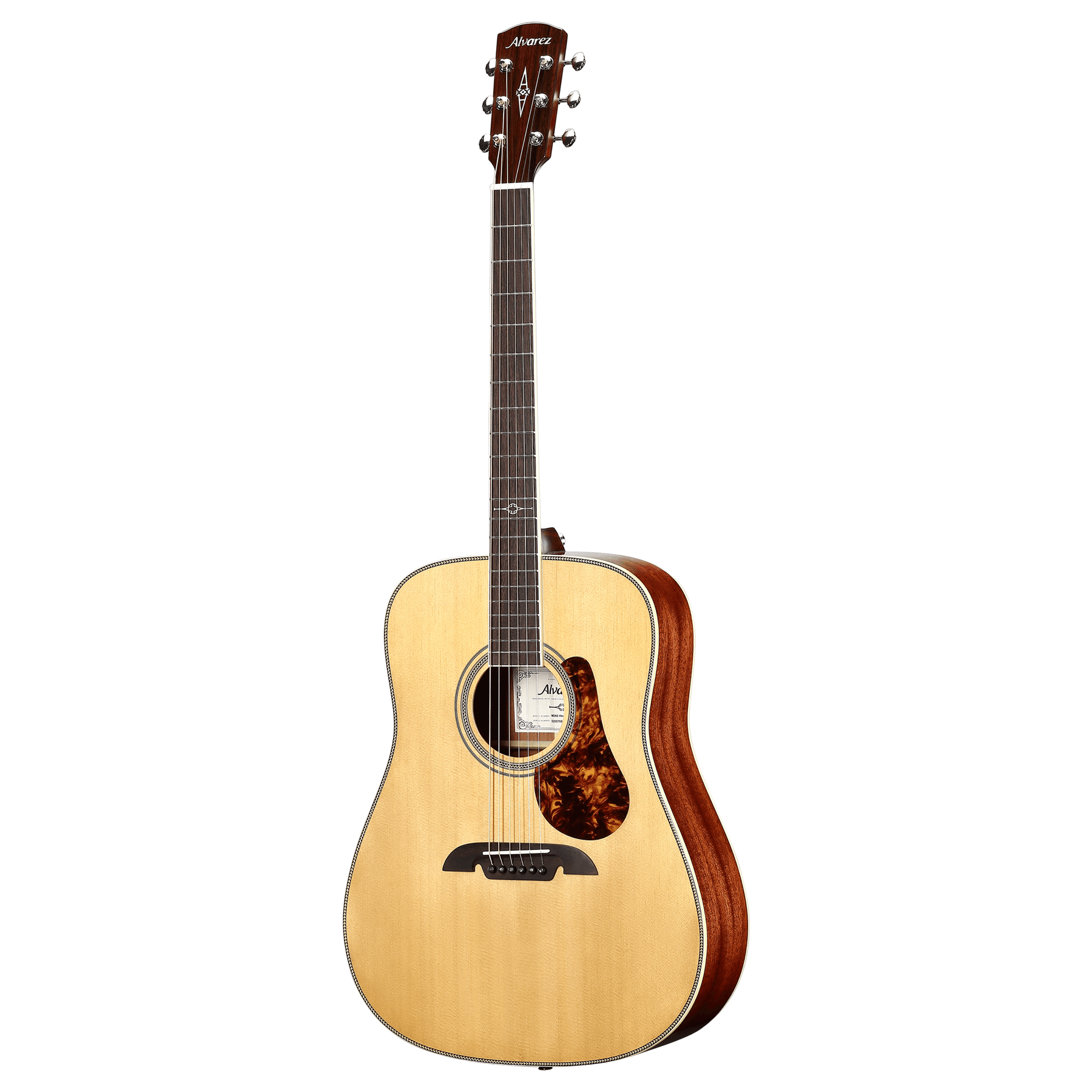 Alvarez MD60 Herringbone
Masterworks Dreadnought