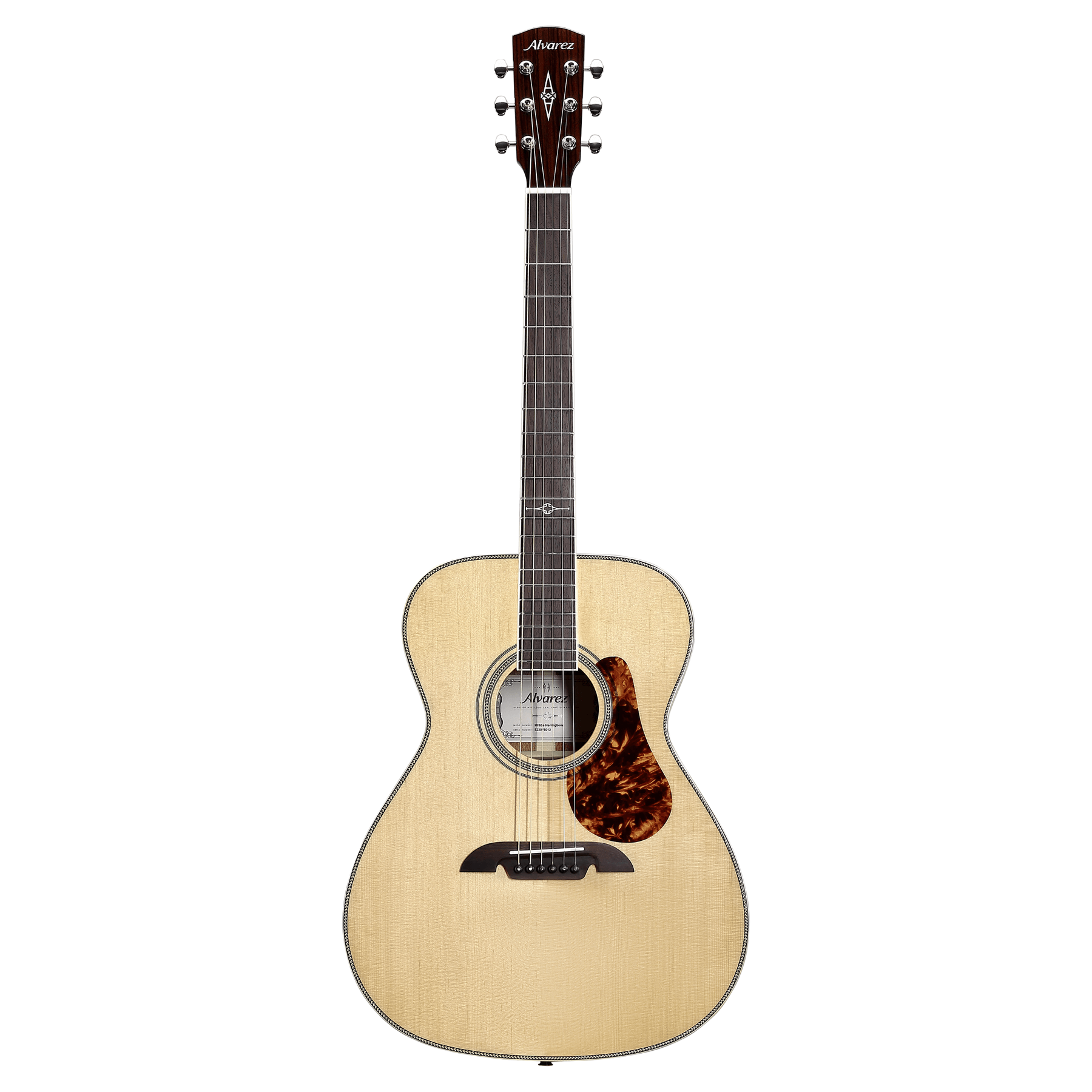 Alvarez MF60e Herringbone
Masterworks OM