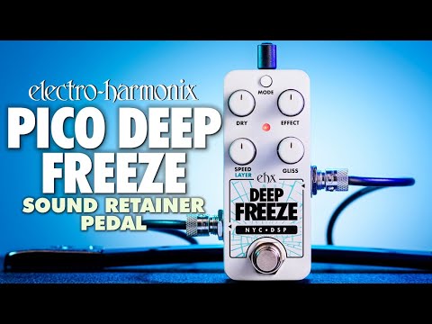 Electro-Harmonix
Pico Deep Freeze Sound Retainer/Sustainer Pedal