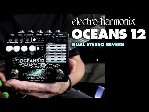 Electro-Harmonix
Oceans 12 Dual Stereo Reverb