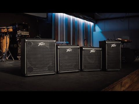 Peavey MAX® 300 300-Watt Bass Amp Combo
Bass Amp Combo