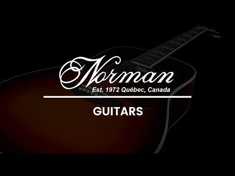 Norman B18 CW MJ Cherry Burst A/E