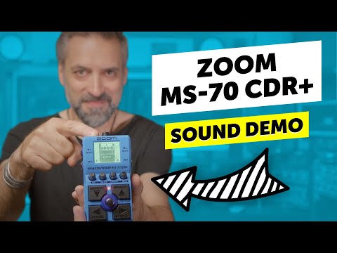 Zoom MS-70CDR+