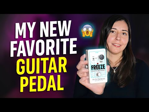 Electro-Harmonix
Freeze Sound Retainer Pedal