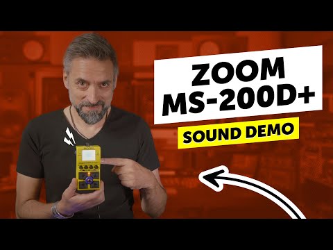 Zoom MS-200D+